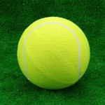 Мяч для большого тенниса самый дешёвый s-dostavka - магазин СпортДоставка. Спортивные товары интернет магазин в Москве 